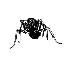 black and white sketch of an ant with a transparent background