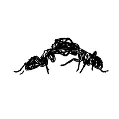 black and white sketch of an ant with a transparent background