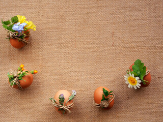 Easter eggs with flowers and herbs decorated in hipster style