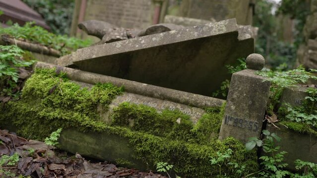 Broken gravestone opened, covered in moss in a forest graveyard on a cloudy day