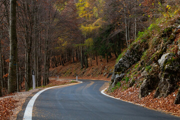 Curvy road in the autumn landscape.