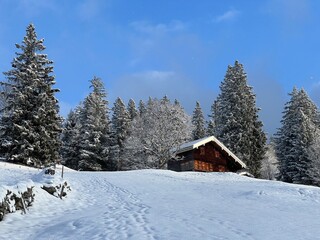 Old traditional swiss rural architecture and alpine livestock farms in the winter ambience over the Lake Walen or Lake Walenstadt (Walensee) and in the Swiss Alps, Amden - Switzerland / Schweiz