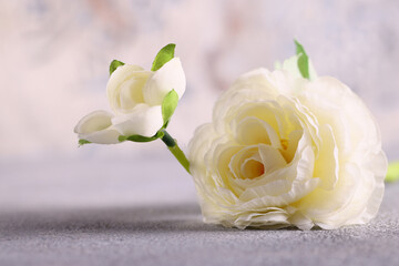 glamorous stylish background with flowers for decor