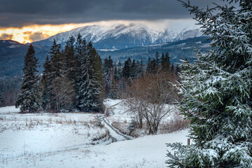 Fototapety na wymiar - Fototapeta24.pl