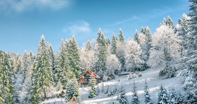 Winter forest in the Carpathians. Guest house forester in the winter forest in the Carpathians on Lake Vita, Western Ukraine.