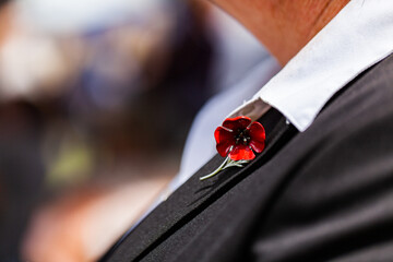 Poppy pin on shirt collar on remembrance day