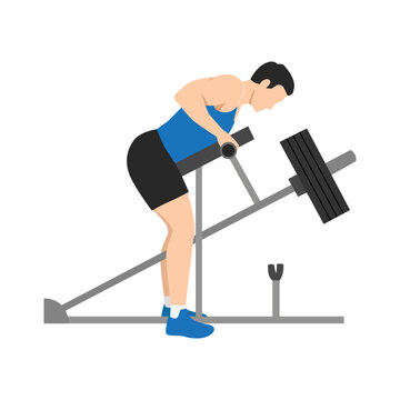 Man doing bent over T bar row with chest supported. Flat vector illustration isolated on white background