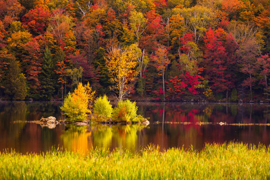 Scenery of Kent Pond lake and forest in autumn