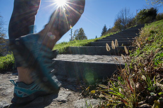 Woman walks along stone path through mountain meadow