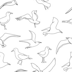 Outline seagull hand drawn seamless pattern. Hand drawn minimalism style vector illustration. Beautiful sea life design elements.