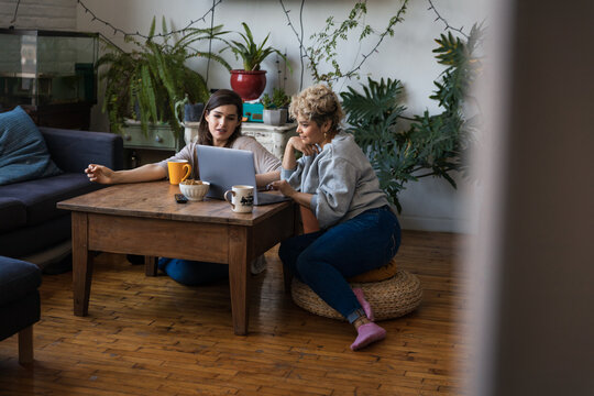 Young and mid adult roommates using laptop at table against potted plants in living room
