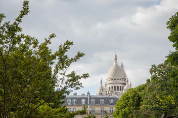 Skyline from Paris with trees.
