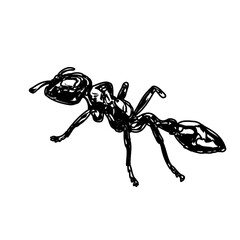 black and white sketch of an ant with a transparent background
