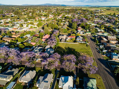 Empty lot where church once stood beside street lined with jacaranda trees in Singleton