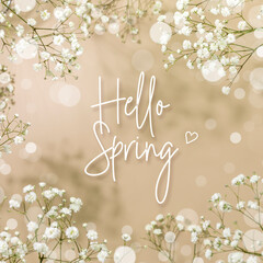 Spring card with Branches of blossoming white gypsophila flowers on beige background with bokeh effect and inscription Hello Spring. Spring time concept. Soft focus