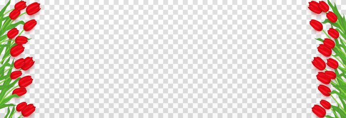 Vector realistic tulips png. Red tulips png. Frame of lulips. Festive banner with tulips. Tulips for March 8, World Women's Day.