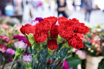 Red carnation flowers being sold at the farmers' market