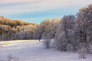 Snowy, winter forest landscape on a sunny day. In the distance, the silhouette of a man is seen running through deep snow into the forest.