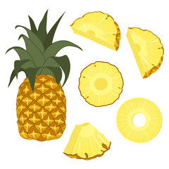 Vector illustration of a set of ripe fresh pineapple, pieces and slices. Fruit illustration in flat style isolated on white background.