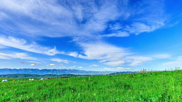 Green grassland and mountain with sky cloud natural scenery in Xinjiang, China.