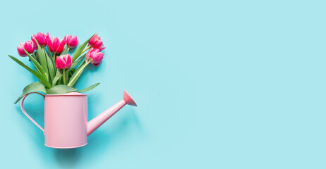 Spring gardening concept with decorative watering can and pink tulips on blue background. Greeting card for Mothers Day. Banner.