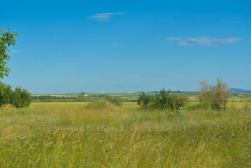 Landscape on a field in the steppe on a clear sunny day