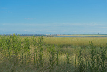 Fototapeta premium Landscape on a field in the steppe on a clear sunny day