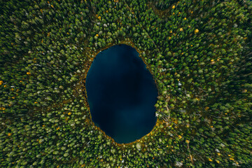 Aerial view of round blue lake in green pine tree forest in rural Finland.