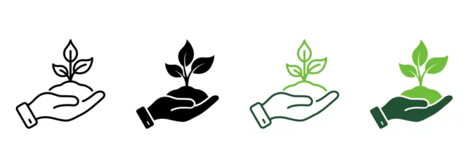 Tuinposter Ecology Organic Seedling Line and Silhouette Icon Set. Growth Eco Tree Environment. Plant in Human Hand Symbol Collection on White Background. Agriculture Concept. Isolated Vector Illustration © gentle studio