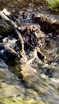 water flowing into the river