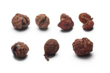 Set of Sichuan pepper (seeds of Zantoxylum simulans). Also known as China coriander, thingye, Szechuan(Szechwan) peppercorn isolated png