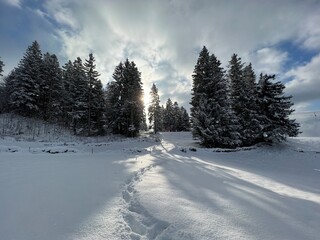 Wonderful winter hiking trails and traces over the Lake Walen or Lake Walenstadt (Walensee) and in the fresh alpine snow cover of the Swiss Alps, Amden - Canton of St. Gallen, Switzerland (Schweiz)