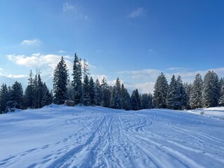 Fototapeta premium Wonderful winter hiking trails and traces over the Lake Walen or Lake Walenstadt (Walensee) and in the fresh alpine snow cover of the Swiss Alps, Amden - Canton of St. Gallen, Switzerland (Schweiz)