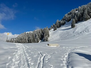 Obraz premium Wonderful winter hiking trails and traces over the Lake Walen or Lake Walenstadt (Walensee) and in the fresh alpine snow cover of the Swiss Alps, Amden - Canton of St. Gallen, Switzerland (Schweiz)