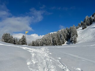 Wonderful winter hiking trails and traces over the Lake Walen or Lake Walenstadt (Walensee) and in the fresh alpine snow cover of the Swiss Alps, Amden - Canton of St. Gallen, Switzerland (Schweiz)