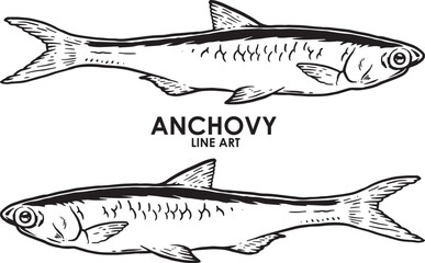 Hand draw vintage anchovy premium vector - obrazy, fototapety, plakaty