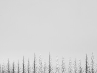 アイスランド風景