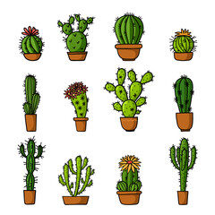 Set of hand drawn cactuses in the pot isolated on white background.