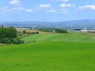 日本北海道風景