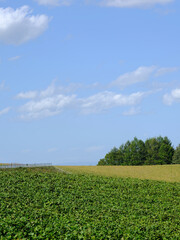 日本北海道風景