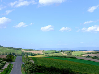 日本北海道風景