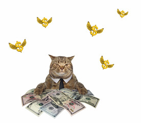 Cat makes a lot of dollars - 562108864
