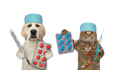 Cat and dog labrador are doctors