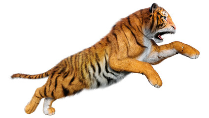 3D Rendering Big Cat Tiger on White