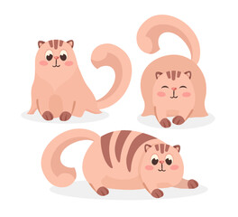 Cute pink comic cat with stripes vector illustrations set. Cartoon drawings of adorable kitten character smiling, sitting and lying on white background. Pets or domestic animals concept