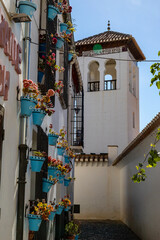 Fototapeta premium Albajzin spain granada flowers
