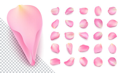 Set of vector realistic rose petals of different shapes with shadow. Isolated pink volumetric sakura petal on transparent white background. Template for greeting romantic cards. Close-up.
