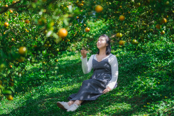 Happy smiling young girl in summer hat at summer day in the orange garden and smelling an orange in her hand in Chiang Mai