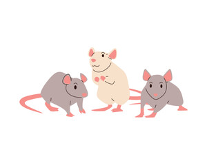 Grey and white standing rats. flat Vector illustration.
