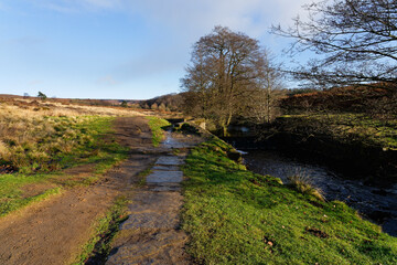 Muddy footpath beside Burbage Brook